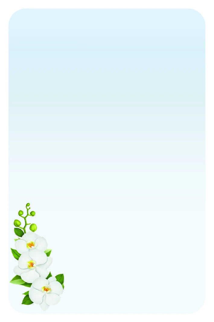 Orchidee bianche 6x9 cm
