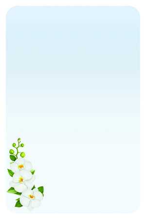 Orchidee bianche